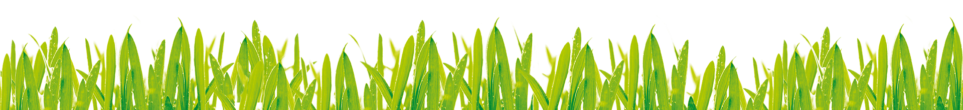 Green Art